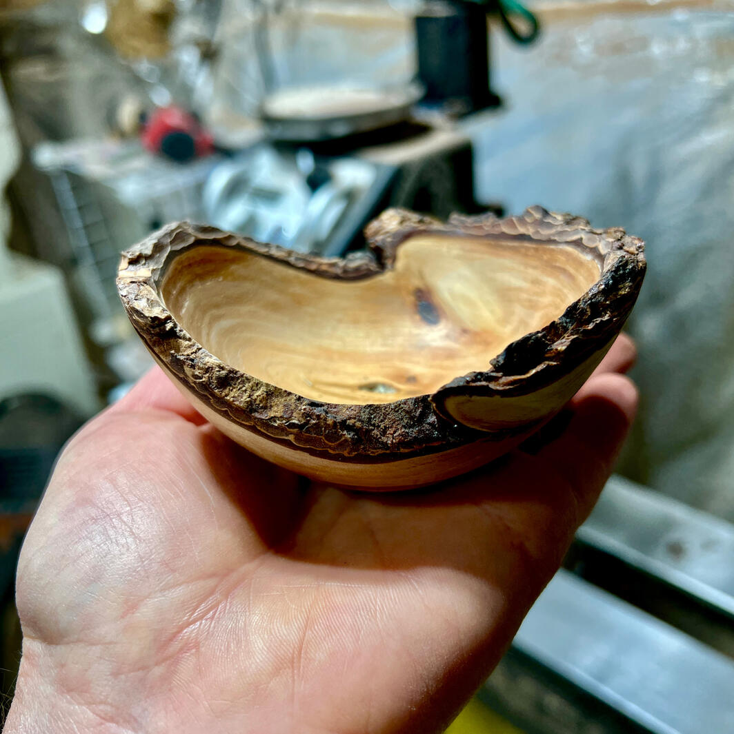 Tiny live edge bowl sitting in a hand
